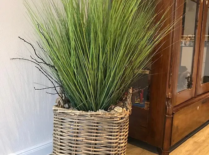 伍赫伯格酒店 酒店 3*